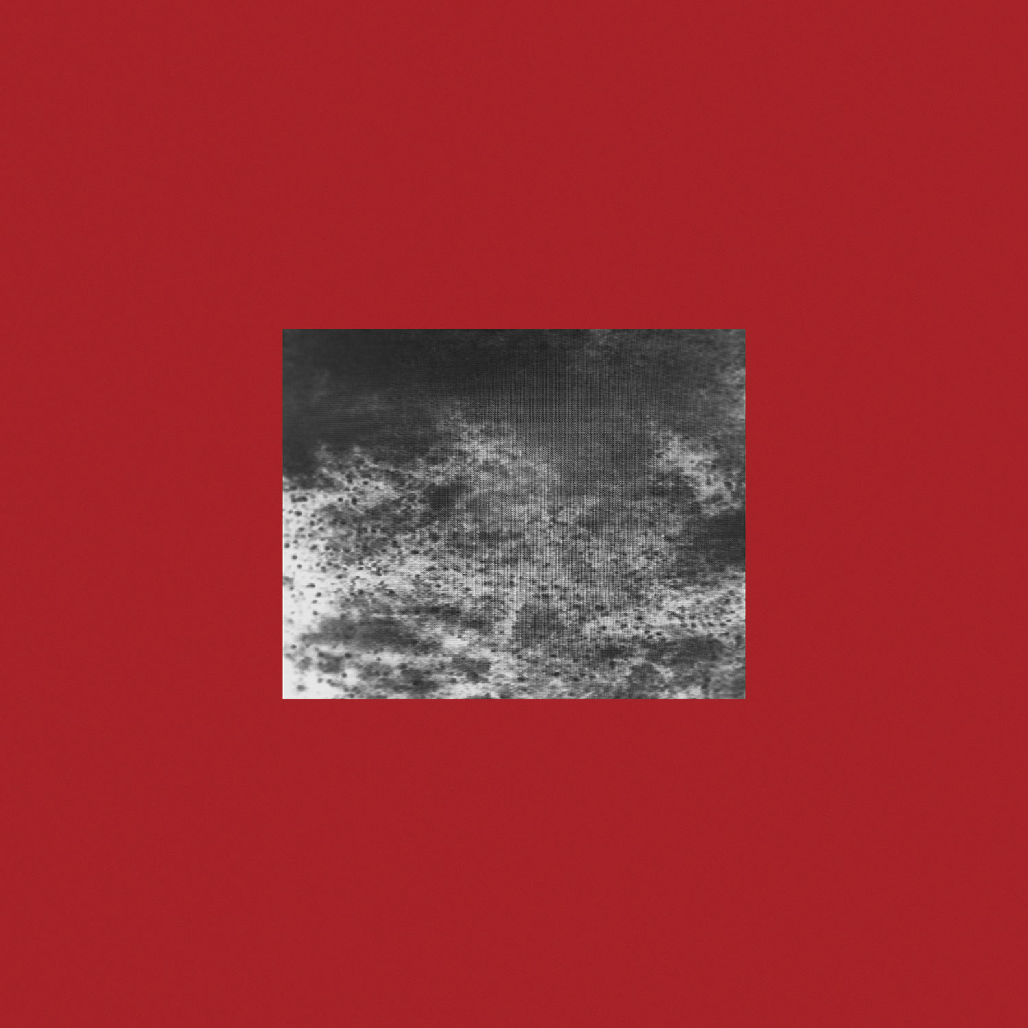 Michael A. Muller - This Is The Water This Is The Well
